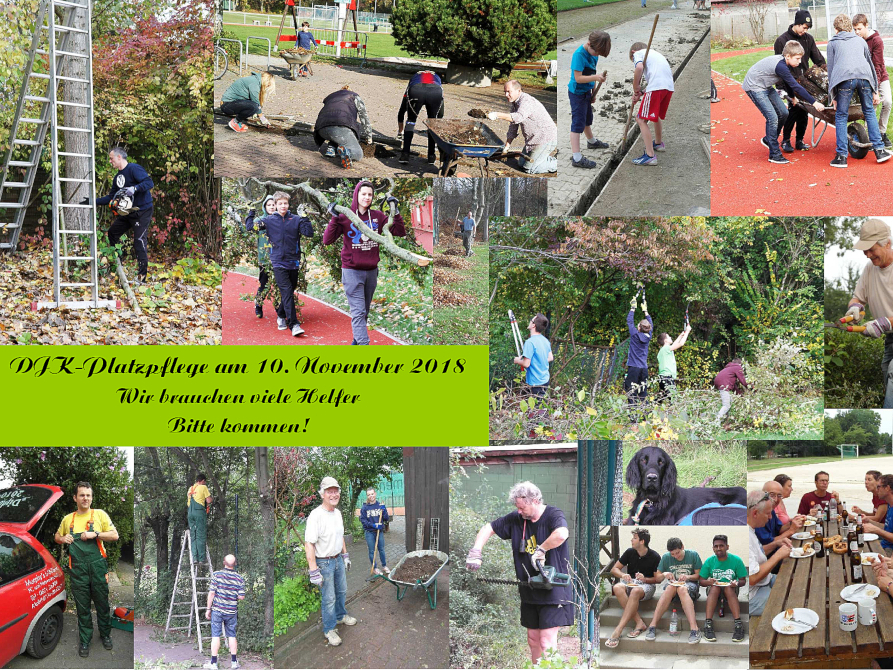 DJK Platzpflege am 10. November ab 10 Uhr